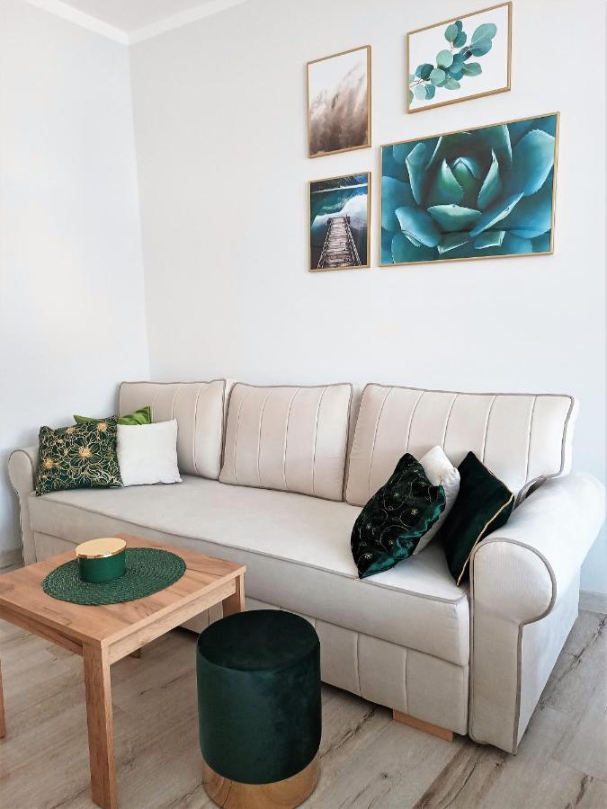 Szmaragdowy Apartament Przy Ulicy Opolskiej تارنوفسكي غوره المظهر الخارجي الصورة