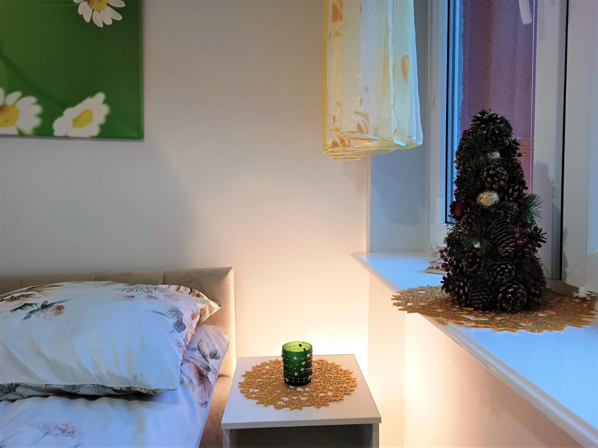 Szmaragdowy Apartament Przy Ulicy Opolskiej تارنوفسكي غوره المظهر الخارجي الصورة