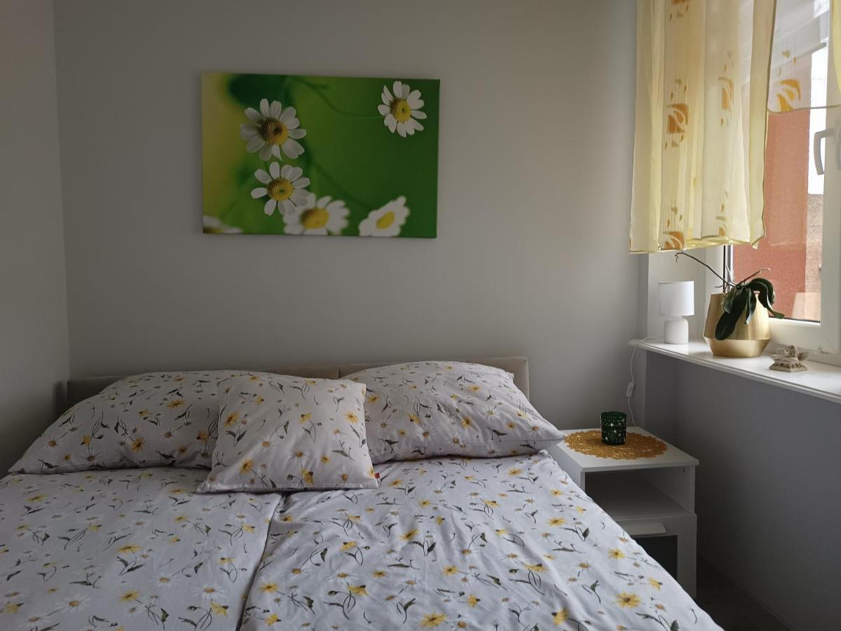 Szmaragdowy Apartament Przy Ulicy Opolskiej تارنوفسكي غوره المظهر الخارجي الصورة