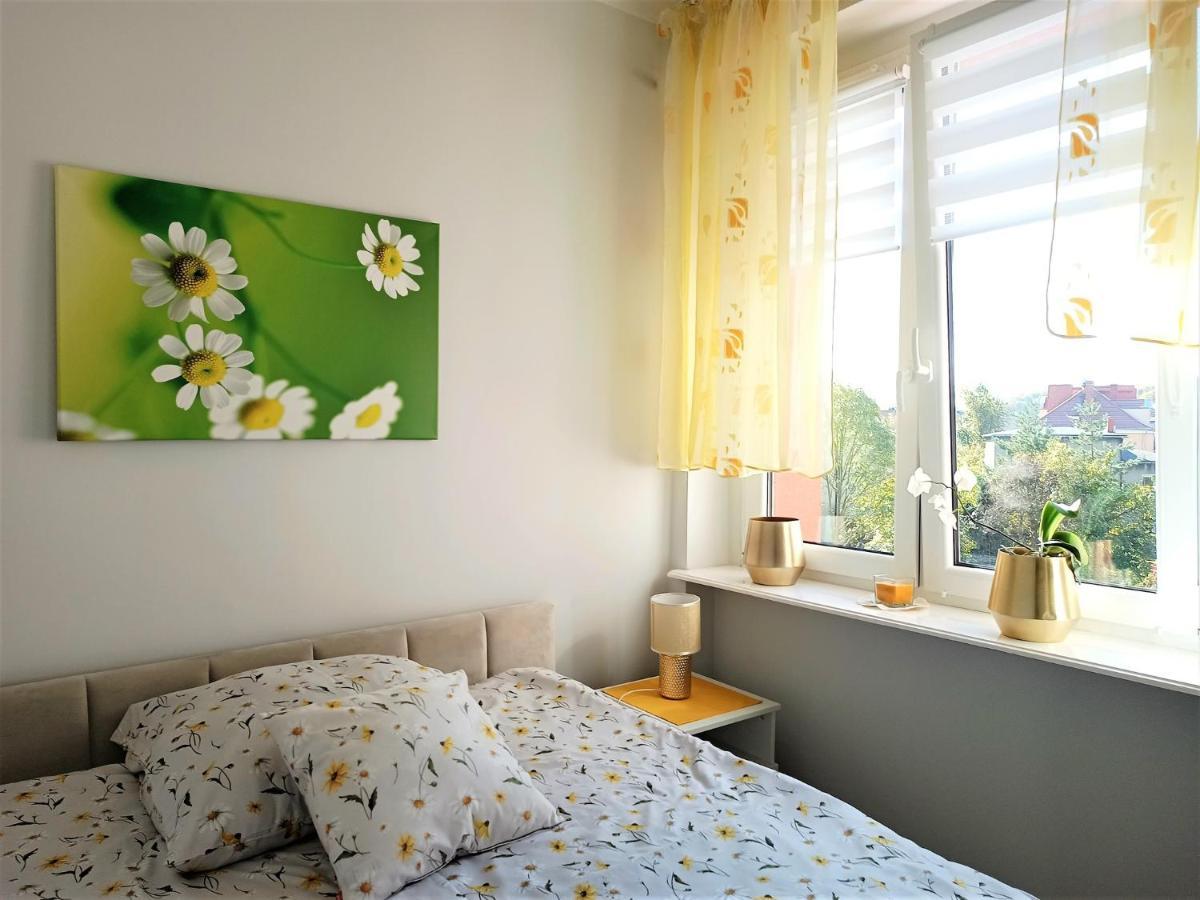 Szmaragdowy Apartament Przy Ulicy Opolskiej تارنوفسكي غوره المظهر الخارجي الصورة