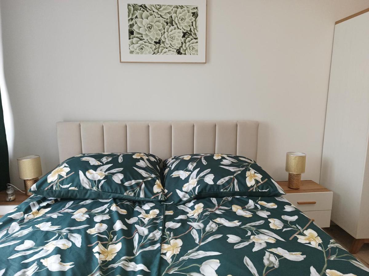 Szmaragdowy Apartament Przy Ulicy Opolskiej تارنوفسكي غوره المظهر الخارجي الصورة