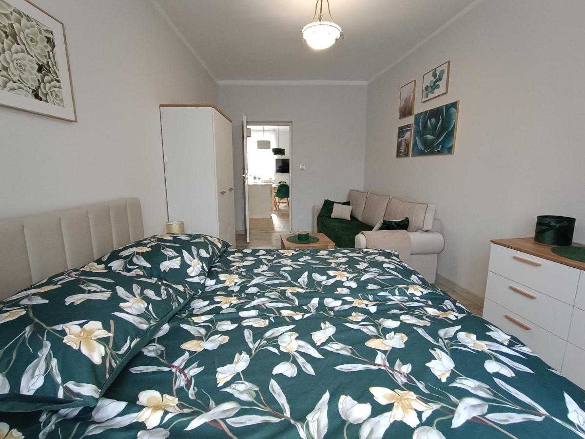 Szmaragdowy Apartament Przy Ulicy Opolskiej تارنوفسكي غوره المظهر الخارجي الصورة