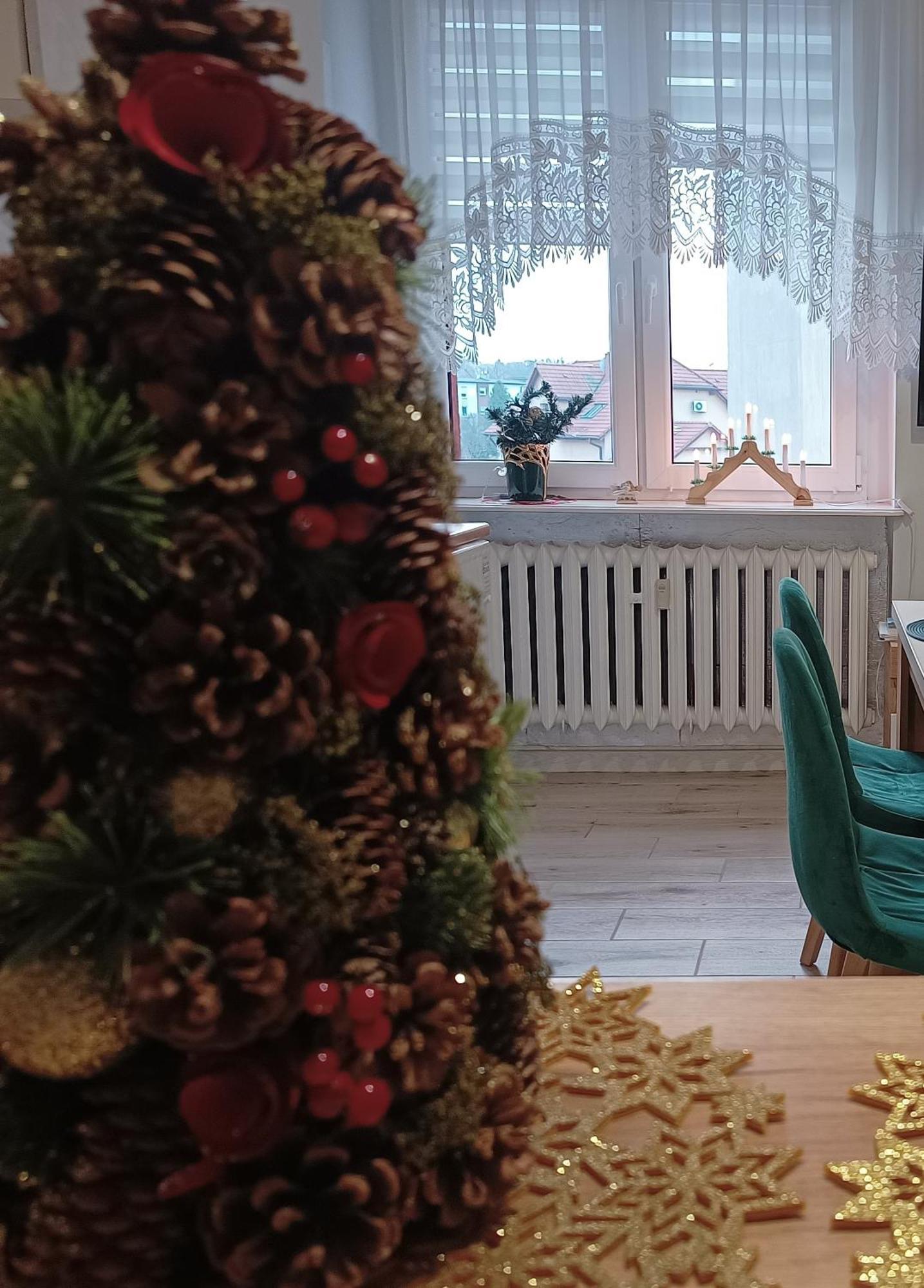 Szmaragdowy Apartament Przy Ulicy Opolskiej تارنوفسكي غوره المظهر الخارجي الصورة